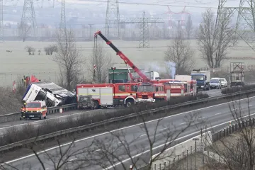 Překládání krav z havarovaného kamionu zabralo téměř celý den. Dopravu na D8 komplikovalo do půl šesté