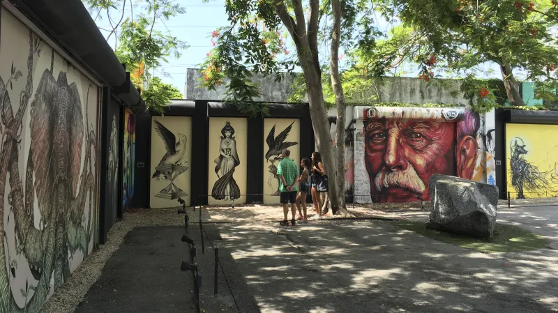 Oblast Wynwood v Miami