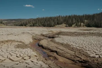 BILANCE: Změny klimatu páchají už teď v Česku rozsáhlé ekonomické škody