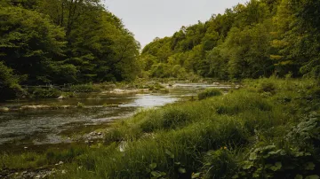 Ilustrační foto