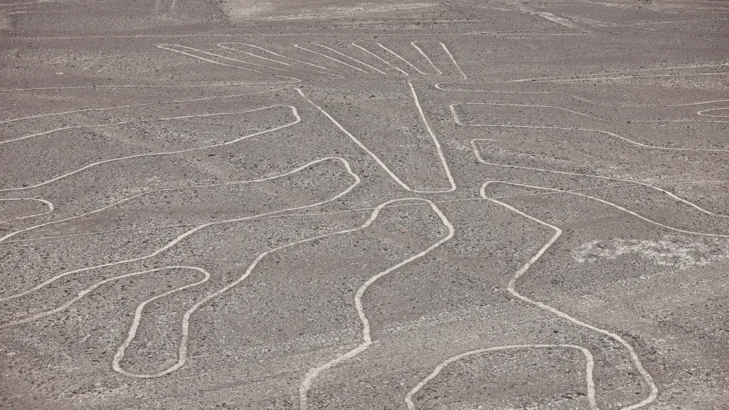 Obrazce na planině Nazca