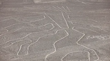 Obrazce na planině Nazca