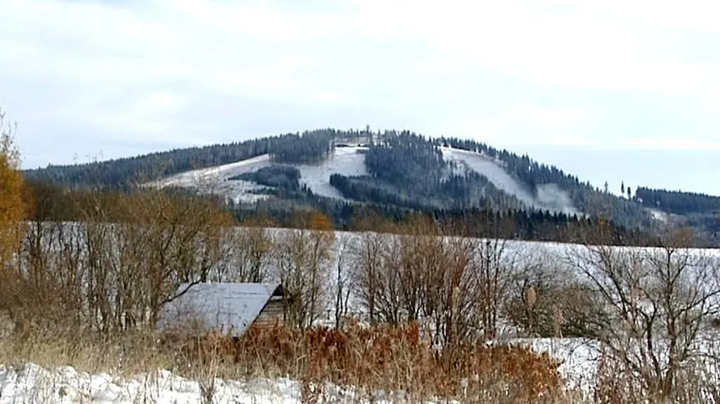 Plešivec