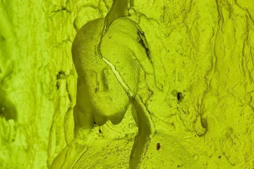 Rony Plesl zasadil na benátském bienále skleněné stromy. „Vyrostly“ díky nové technologii