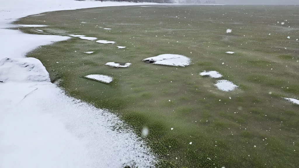Zelený led na Lipně