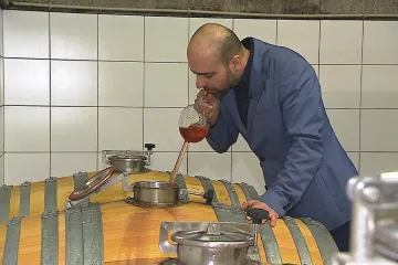 Ocenění Vinařství roku převzali bratři. Vítězné víno pěstují Škrobákovi na čejkovických kopcích