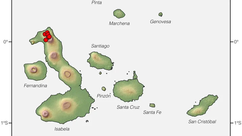 Kde všude žijí leguáni růžoví