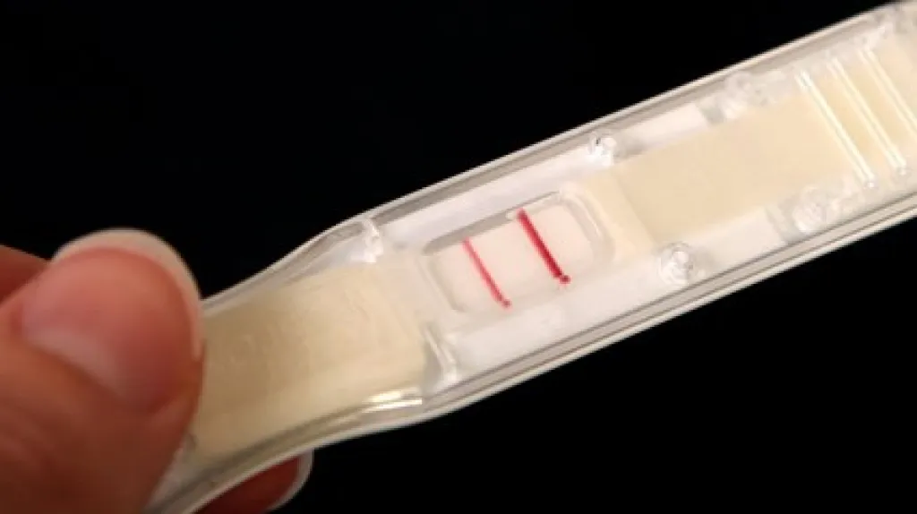 Těhotenský test