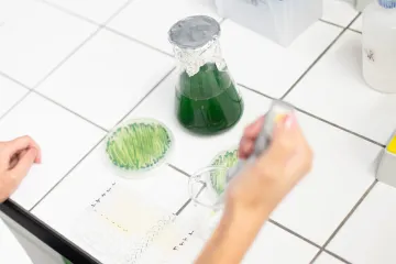 Brněnští vědci poslali řasy do vesmíru. Řeší, jak je tam využít k výrobě biopaliva, čištění vody i jako doplněk stravy