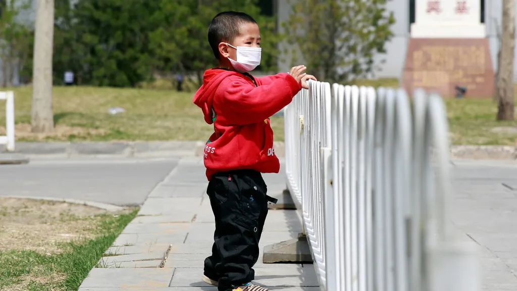 Čína bojuje s ptačí chřipkou