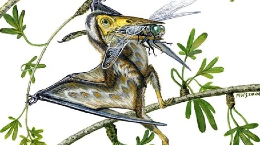 Nemicolopterus crypticus