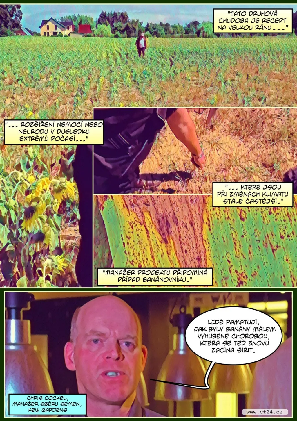 Úroda je kvůli změnám klimatu stále více nejistá. Vědci se snaží současné plodiny geneticky posílit