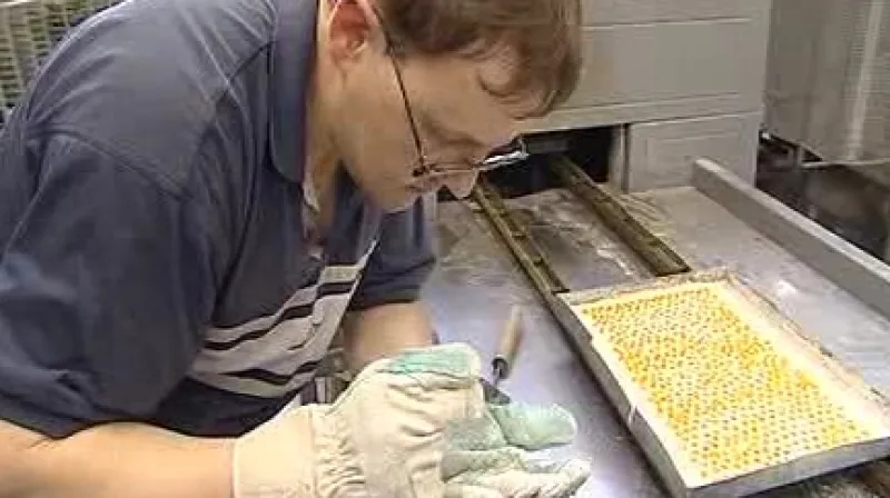 Zaměstnanec Jablonexu