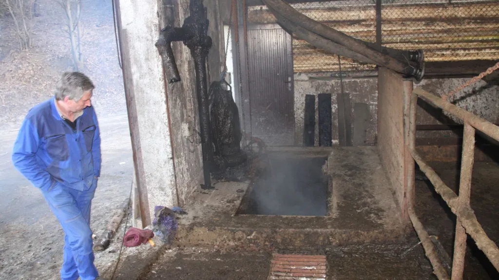 Záchrana březí krávy z jímky