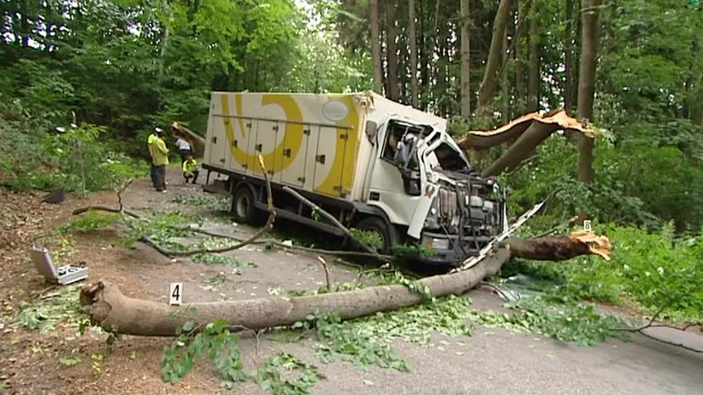 Padající strom zavinil nehodu dodávky