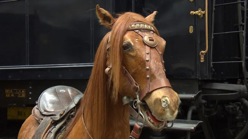 Zrekonstruovaný kůň z letenského kolotoče