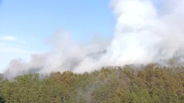 Požár lesa na okraji Velhartic na Klatovsku