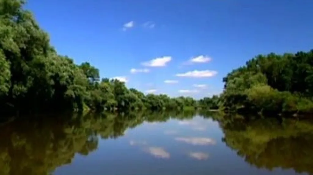 Ochrana přírody může být výdělečná