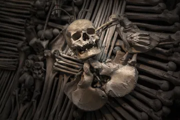 Už žádné selfie s lebkami. Kutnohorská kostnice se rozhodla zakázat focení 