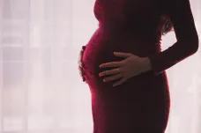 Zájemci o náhradní mateřství míří čím dál častěji do Gruzie