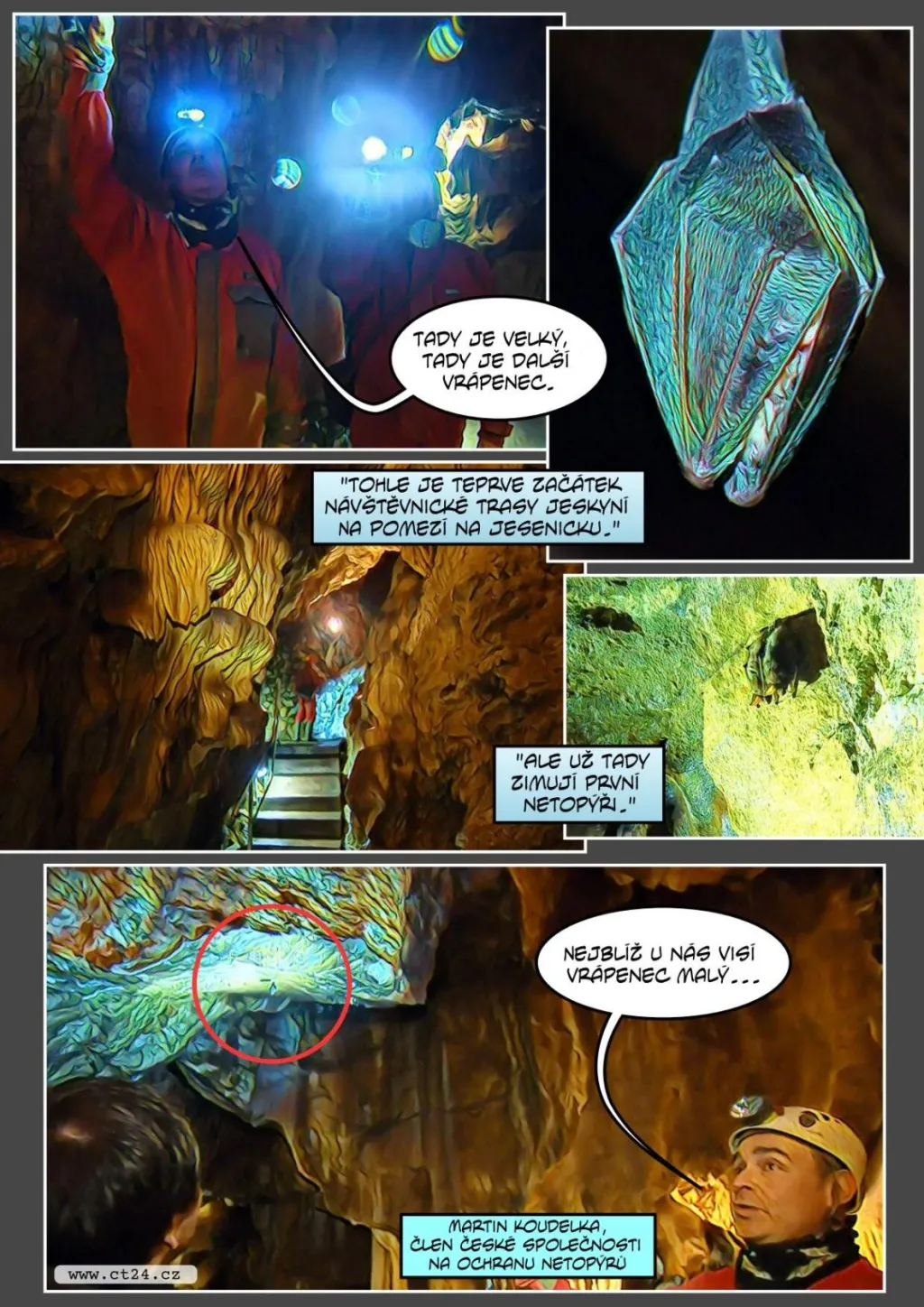 Zoologové zaznamenali rekordní počet netopýrů