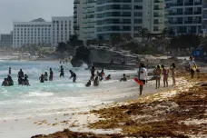 Pobřeží Karibiku se obává přílivu chaluh. Řasy uvolňují metan a rybám upírají kyslík