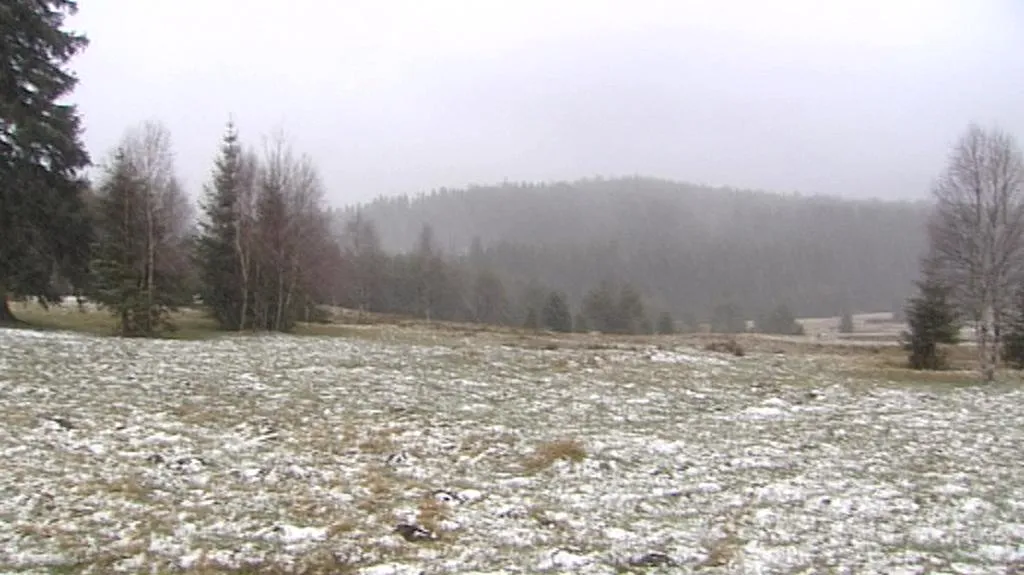 Jedna ze šumavských luk