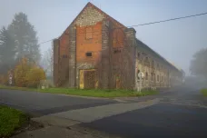 Mimoň koupila hřebčín, proslavili ho plnokrevníci