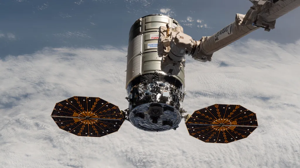 Cygnus