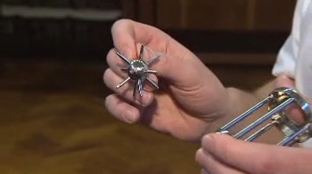 Ježek venku z klece