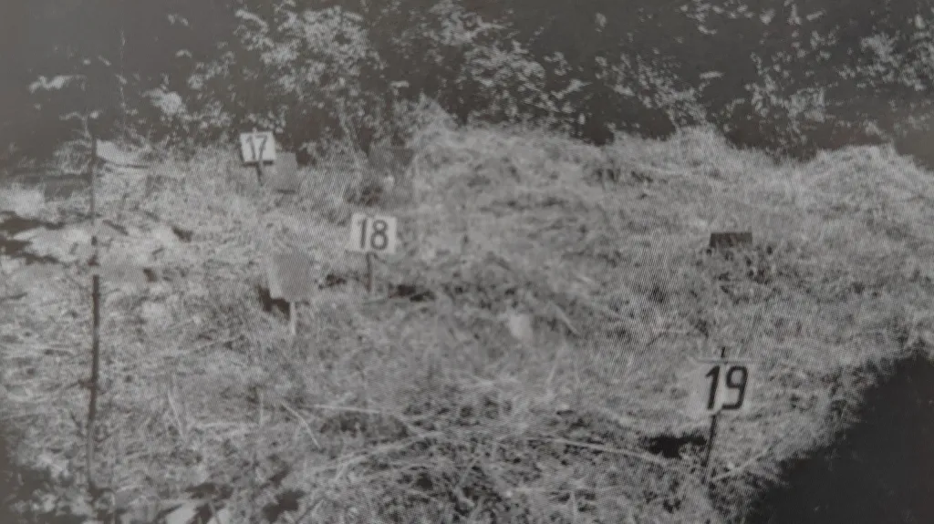 Podoba hromadných hrobů v Ďáblicích v roce 1968