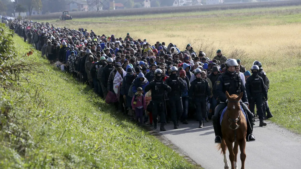 Migranti