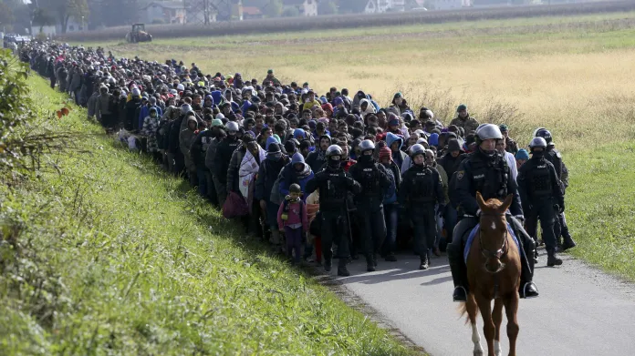 Migranti