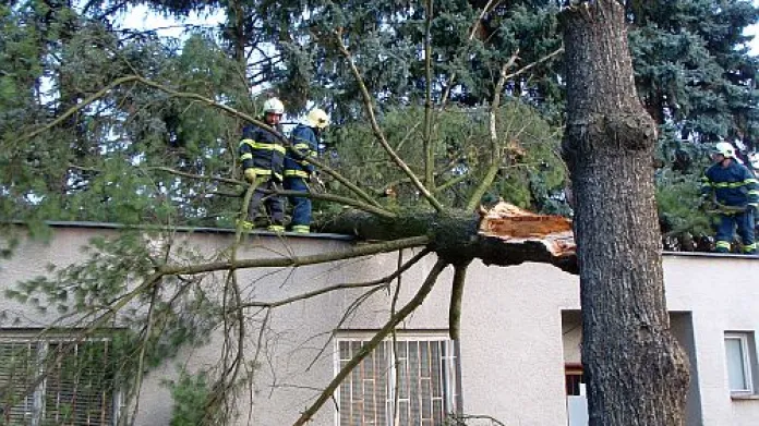Hasiči odstraňovali spadlý strom