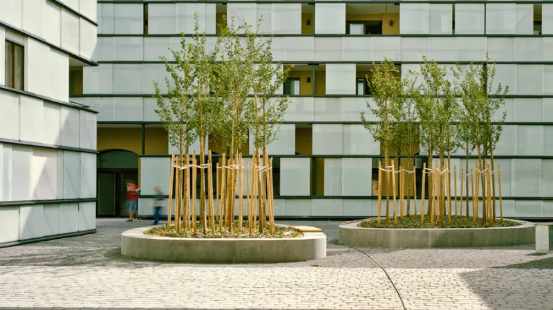 Prostory bývalé sýpky, průmyslových skladů a lisovny oleje byly v letech 2005 – 2009 přeměněny v moderní bytové domy s respektem k původnímu vzhledu a důrazem na transparentnost, pohodlí a moderní vzezření.