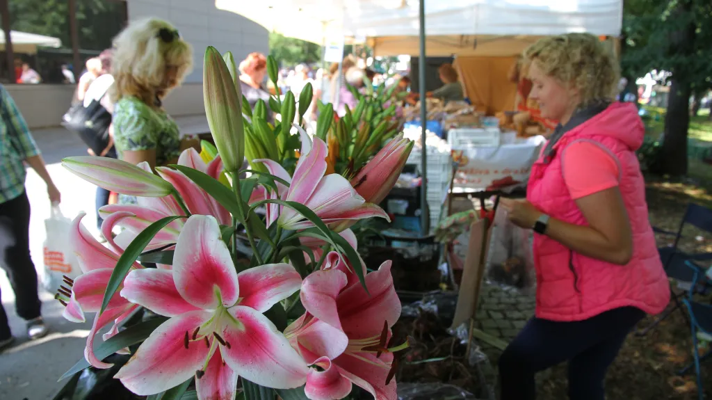 Prodejní stánky na letní etapě výstavy Flora Olomouc