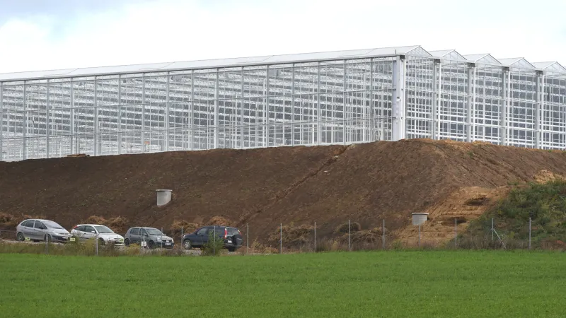 Skleník společnosti AGRO Haná ve Smržicích