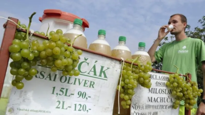 Vinobraní tématem Událostí