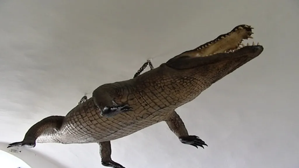 Brněnský krokodýl (drak)