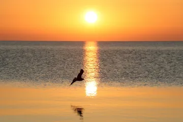 Končící desetiletí zřejmě získá označení nejteplejší v historii měření