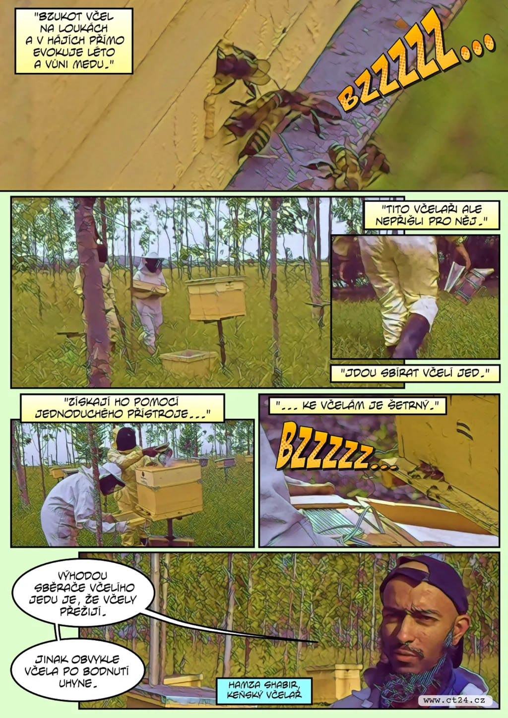 Keňští včelaři objevili zdroj příjmů ze včelího jedu