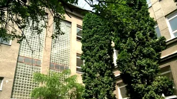 Areál bývalého Chemoprojektu