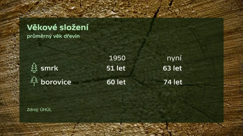 Věkové složení lesů