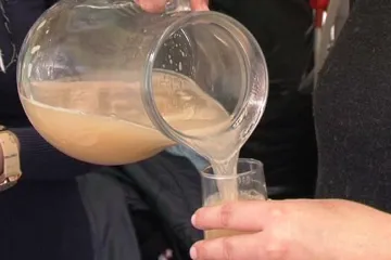 V Mikulově lidé slaví vinobraní. Ve Znojmě až o týden později