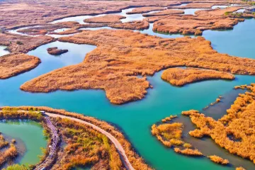 Mokřady umí vyčistit vodu i od pesticidů. Čeští vědci to zkouší laboratorně