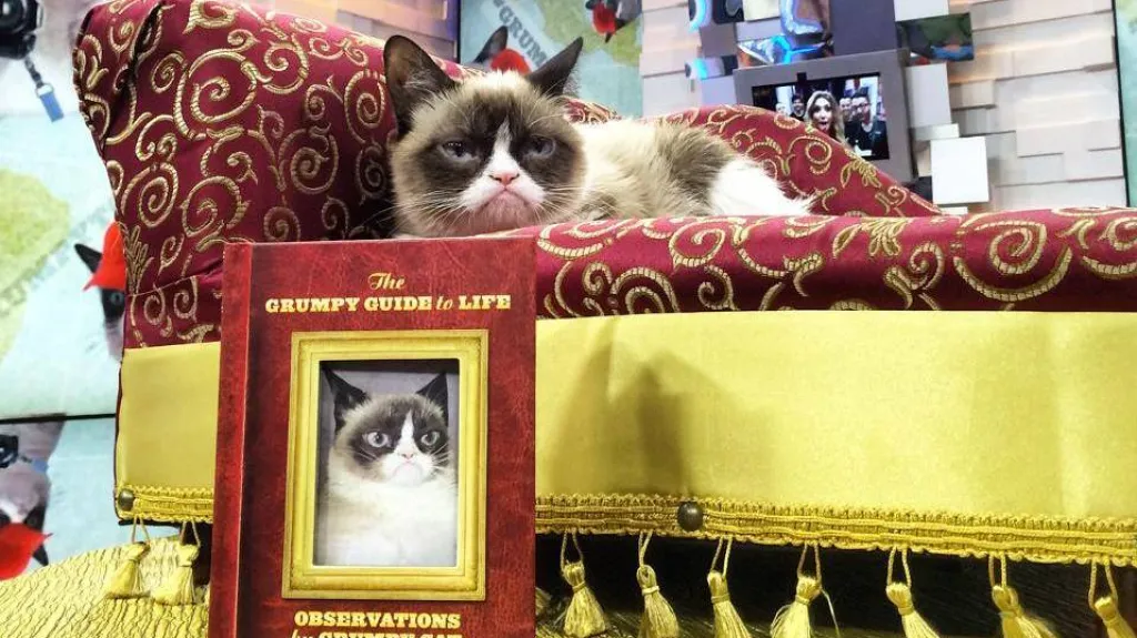 Grumpy cat vydává vlastní knihu
