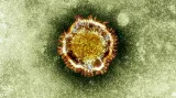 Epidemioložka Fabiánová: O novém koronaviru toho příliš nevíme. Informace se často mění