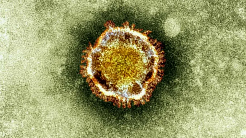 Koronavirus