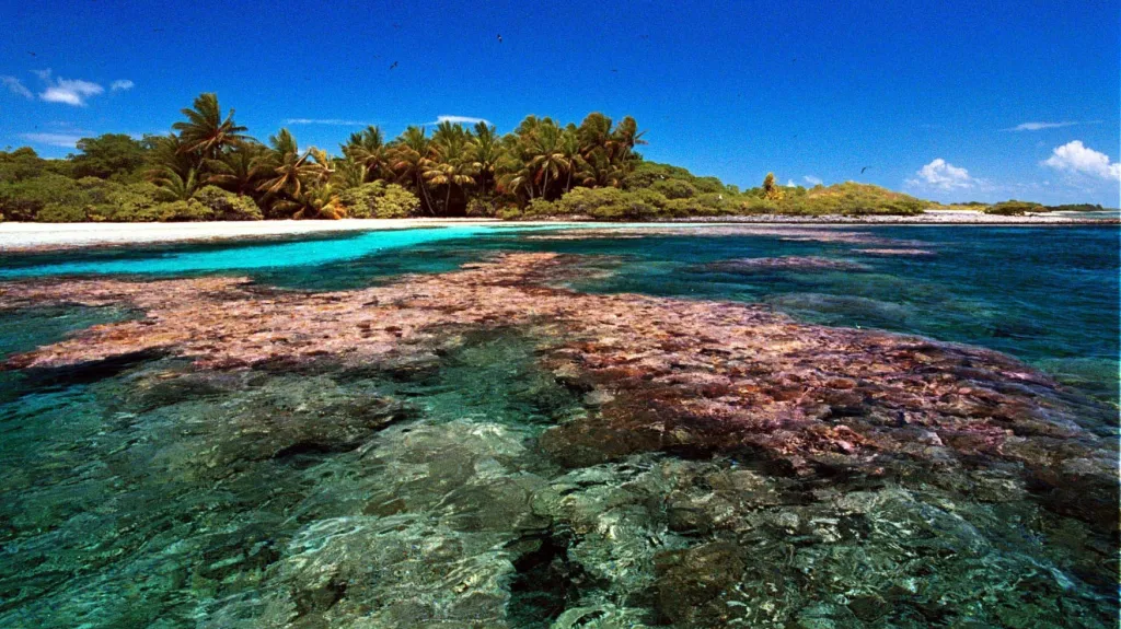 Korálové útesy u Kiribati