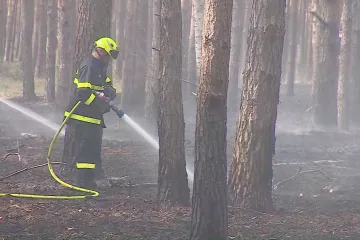 Na jižní Moravě hrozí požáry, ve čtvrtek odpoledne tam budou tropické teploty